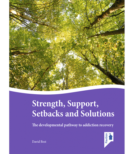 Cover of the book - Strength, Support, Setbacks and Solutions - The development pathway to addition recovery